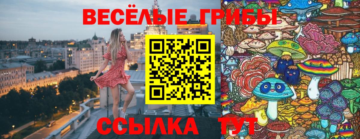 Усть-Кут  Галлюциногенные грибы MAGIC MUSHROOMS  Вход с VPN 