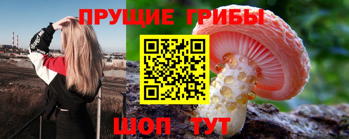 Псилоцибиновые грибы мицелий Усть-Кут